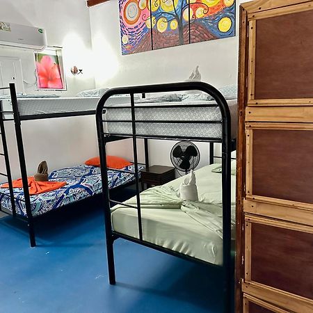 Luminosa Uvita Hostel エクステリア 写真