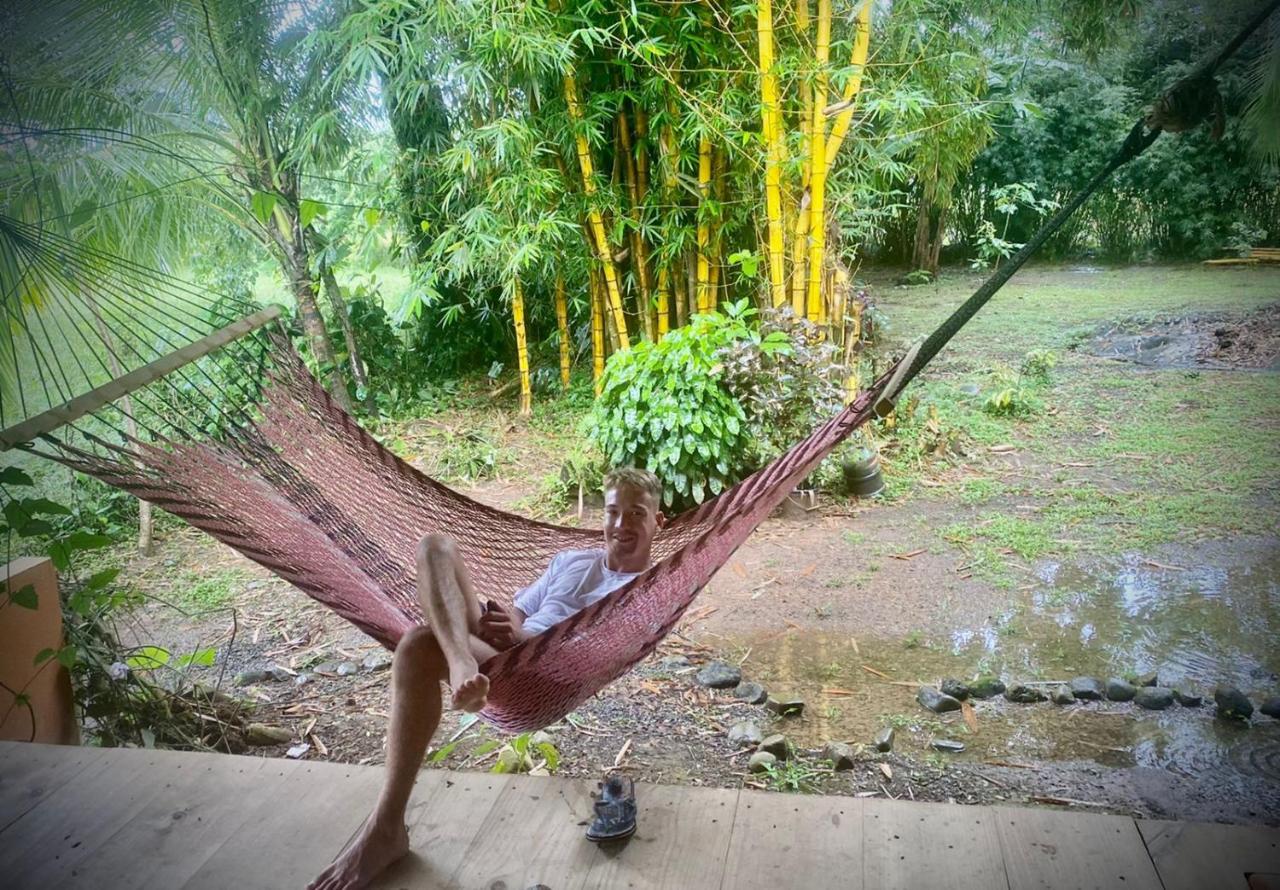 Luminosa Uvita Hostel エクステリア 写真