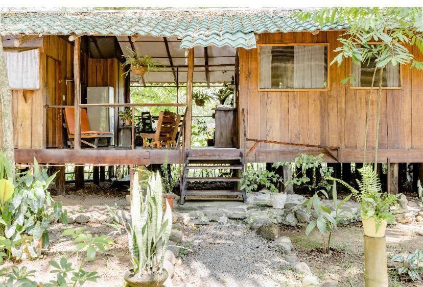 Luminosa Uvita Hostel エクステリア 写真