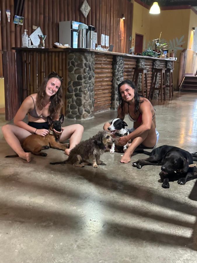 Luminosa Uvita Hostel エクステリア 写真