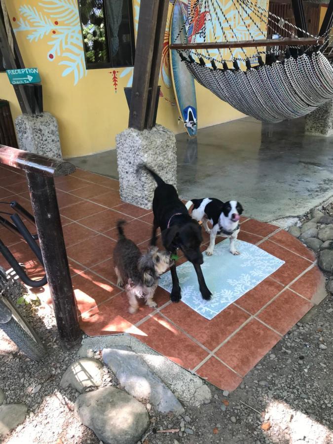 Luminosa Uvita Hostel エクステリア 写真