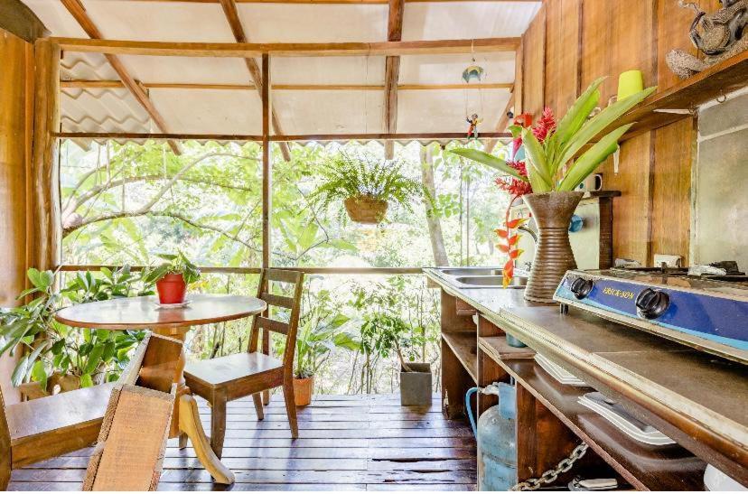 Luminosa Uvita Hostel エクステリア 写真