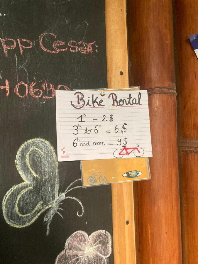 Luminosa Uvita Hostel エクステリア 写真