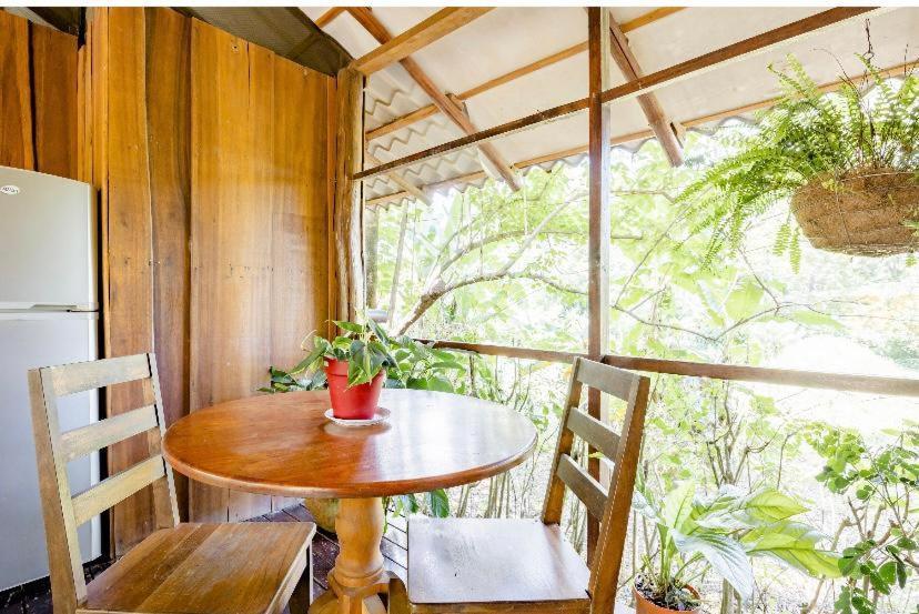Luminosa Uvita Hostel エクステリア 写真