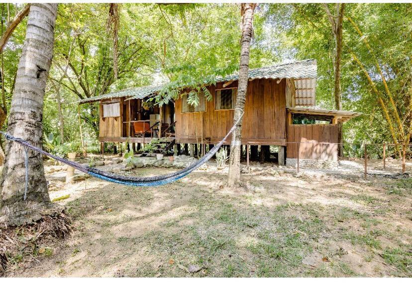 Luminosa Uvita Hostel エクステリア 写真