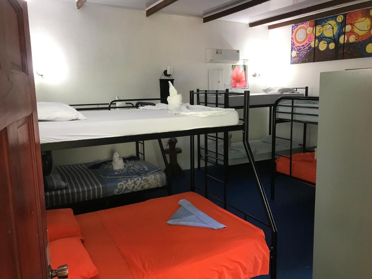 Luminosa Uvita Hostel エクステリア 写真