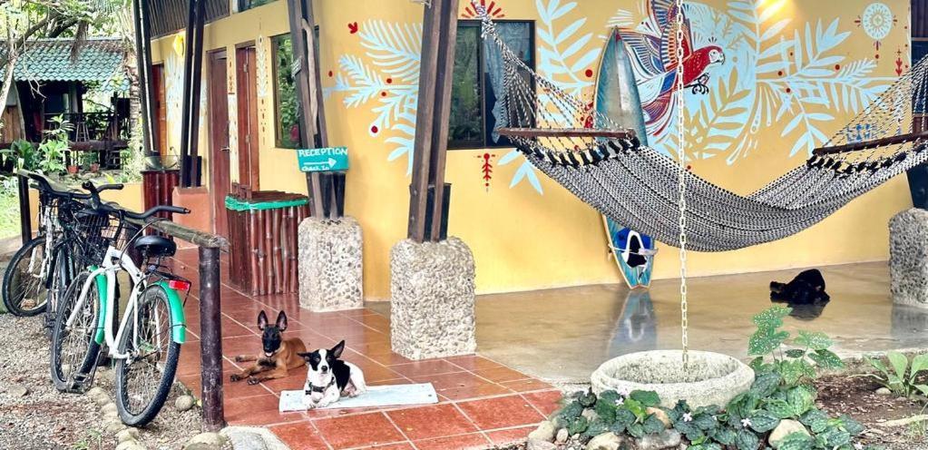 Luminosa Uvita Hostel エクステリア 写真