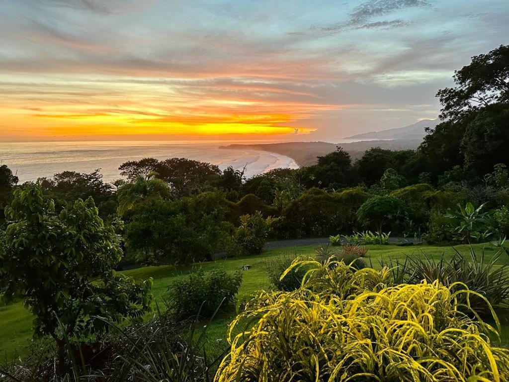 Luminosa Uvita Hostel エクステリア 写真