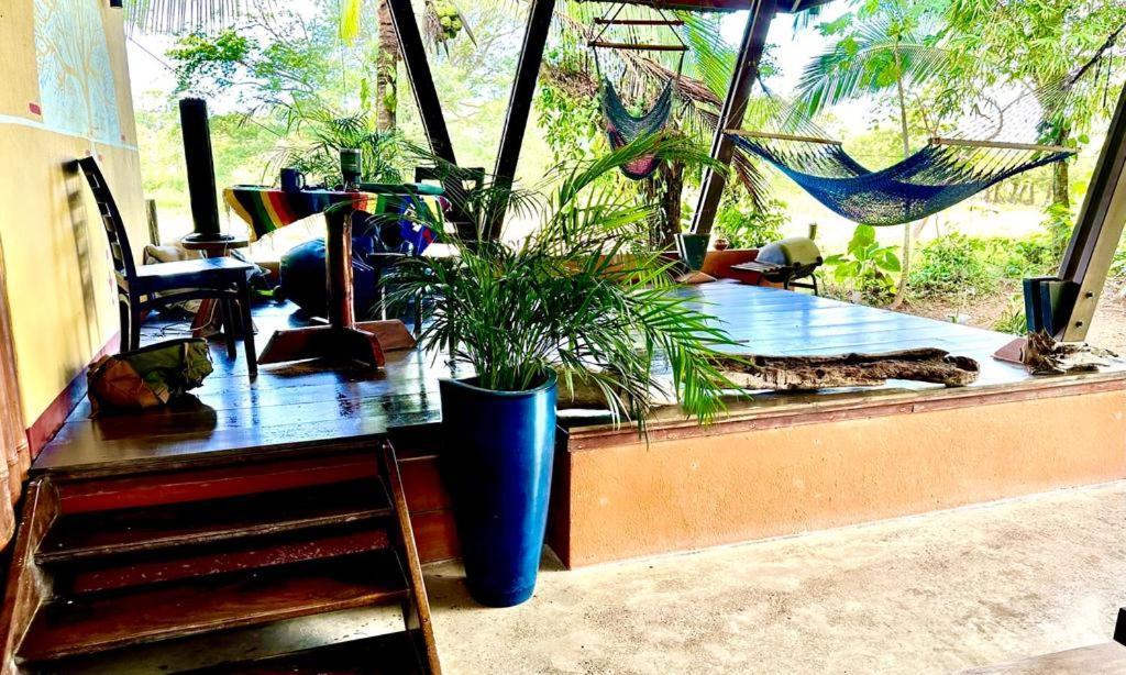 Luminosa Uvita Hostel エクステリア 写真