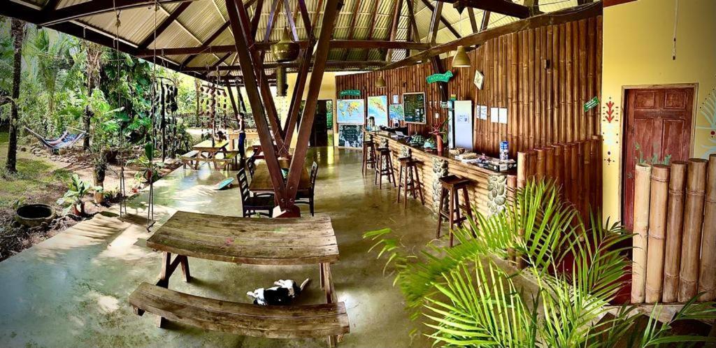 Luminosa Uvita Hostel エクステリア 写真