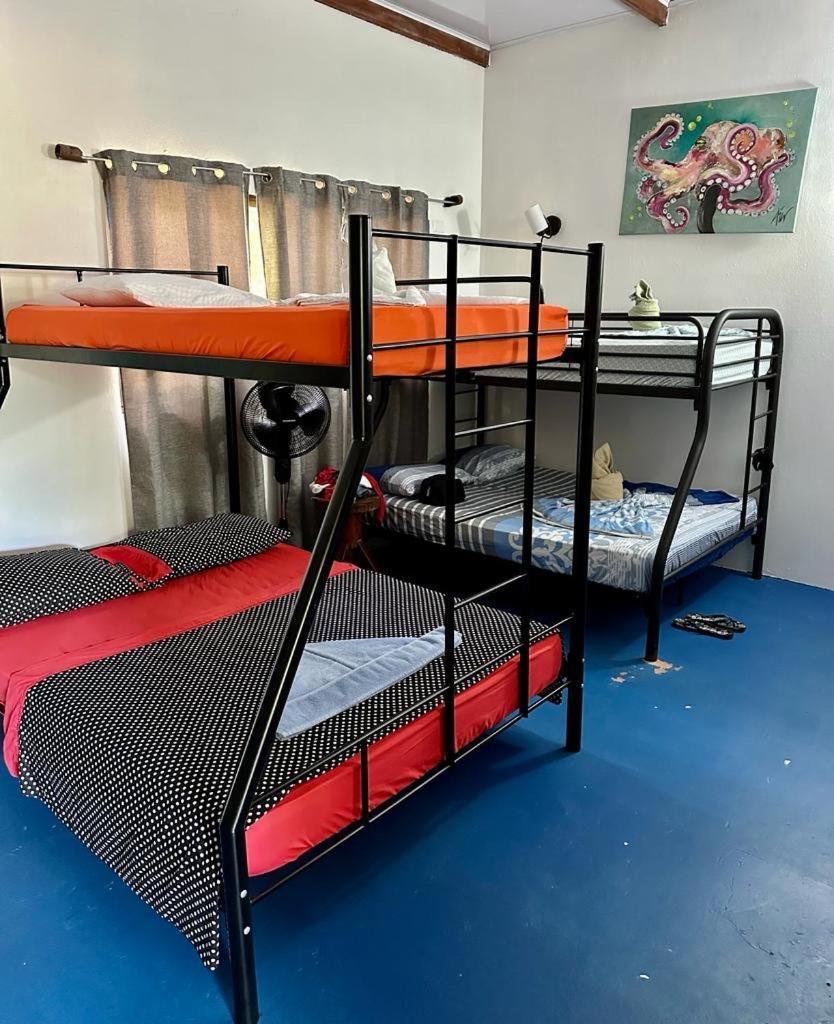 Luminosa Uvita Hostel エクステリア 写真